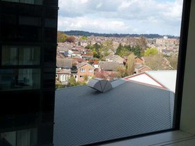 2012-04-17 14.17.59-1.jpg